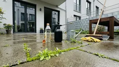 Unkraut in Fugen nach der Schneeschmelze: Wie weit Essig wirklich hilft